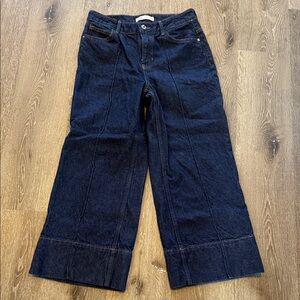 Zara Dark Blue Flare Jeans